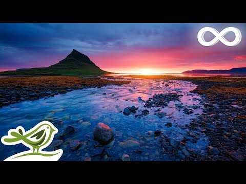 Relaxing Music for Stress Relief: Flutes, Violin, Cello, Harp & Piano Music ★142 - Популярные видеоролики!