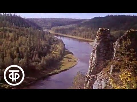 Уральский лосось (1971) - Популярные видеоролики!