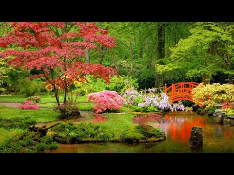 Peder B. Helland - Japanese Garden - Популярные видеоролики!