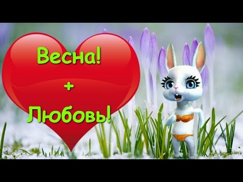 Zoobe Зайка Если в окно лучиком весна :-) - Популярные видеоролики!