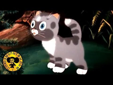 Непослушный котенок - Популярные видеоролики!