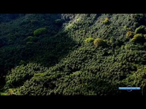 Запах странствий: Французская Полинезия - Таити, Туамоту, Маркизские острова - Популярные видеоролики!