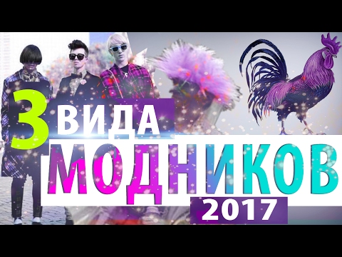 3 ВИДА МОДНИКОВ 2017 - Популярные видеоролики!