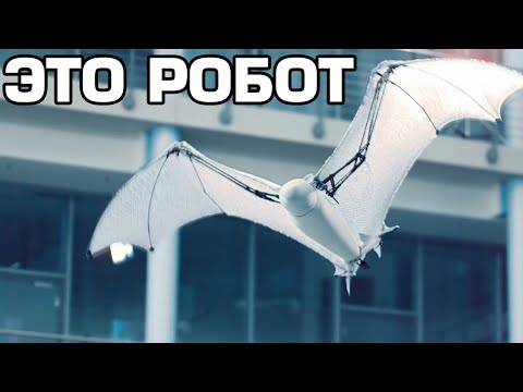 10 Самых удивительных роботов в мире - Популярные видеоролики!