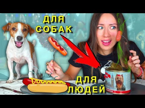 Собачья Еда ПРОТИВ Настоящей Челлендж ч 2 Не Обычная Еда | Elli Di Pets - Популярные видеоролики!