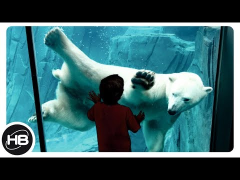 10 ЛУЧШИХ ЗООПАРКОВ МИРА. Зоопарки - Популярные видеоролики!