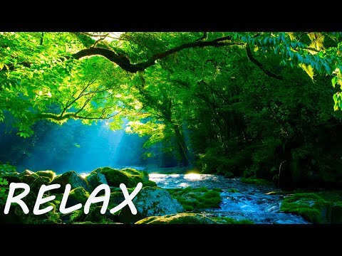 Soothing Music to Positive Feelings - Beauty Nature - Популярные видеоролики!