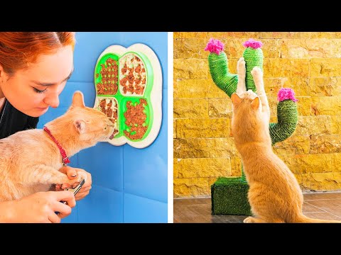 Amazing hacks for smart pet owners - Популярные видеоролики!