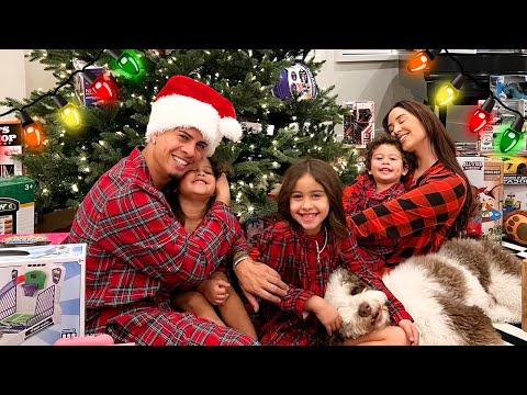 THE NEW ACE FAMILY INTRO!!! **CHRISTMAS EDITION** - Популярные видеоролики!
