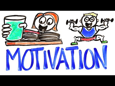 The Science Of Motivation - Популярные видеоролики!