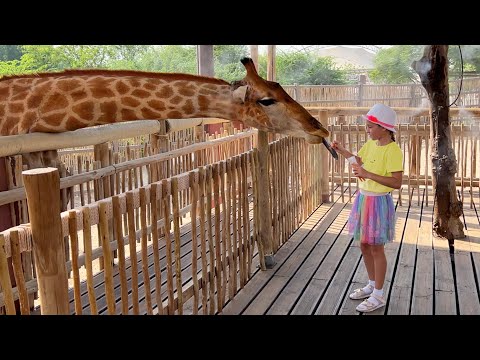 София кормит Жирафов в зоопарке и гуляет с семьей в парке | Sofia feeds giraffes at Dubai Zoo - Популярные видеоролики!