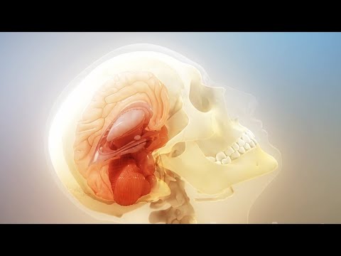 Сотрясение мозга - Популярные видеоролики!