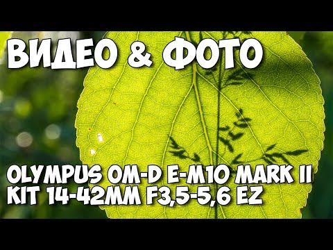 ВИДЕО & ФОТО Olympus OM-D E-M10 Mark II Kit 14-42mm f:3,5-5,6 EZ - Популярные видеоролики!