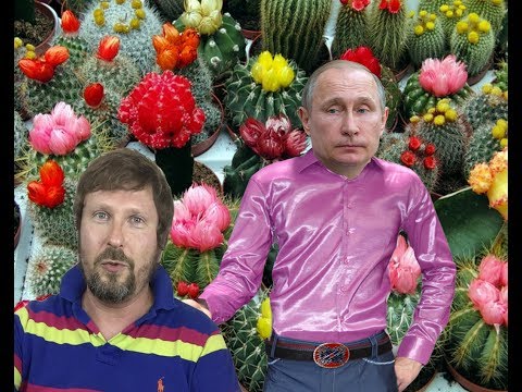 Рубаха Путина - Популярные видеоролики!