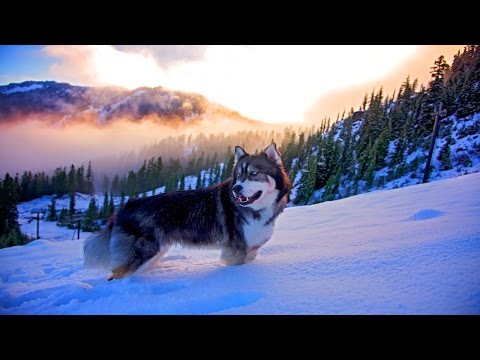 🌍Природа от которой захватывает Дух 4к | Best Nature beautiful Ultra HD 4k - Популярные видеоролики!