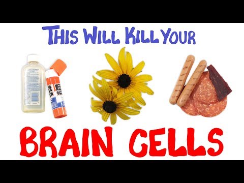 This Will Kill Your Brain Cells! - Популярные видеоролики!