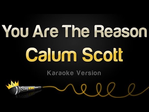 Calum Scott - You Are The Reason (Karaoke Version) - Популярные видеоролики!